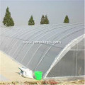 0.2mm Thickness 6m×100m Greenhouse Film